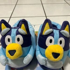 Bluey Cartoon Slippers size large